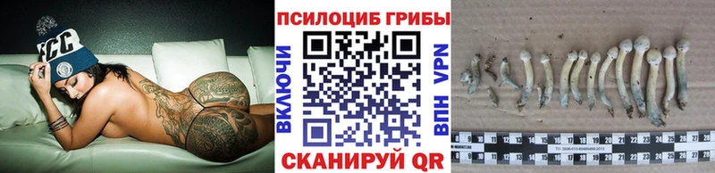 МЕГА маркетплейс  даркнет сайт  Кызыл  Галлюциногенные грибы прущие грибы 